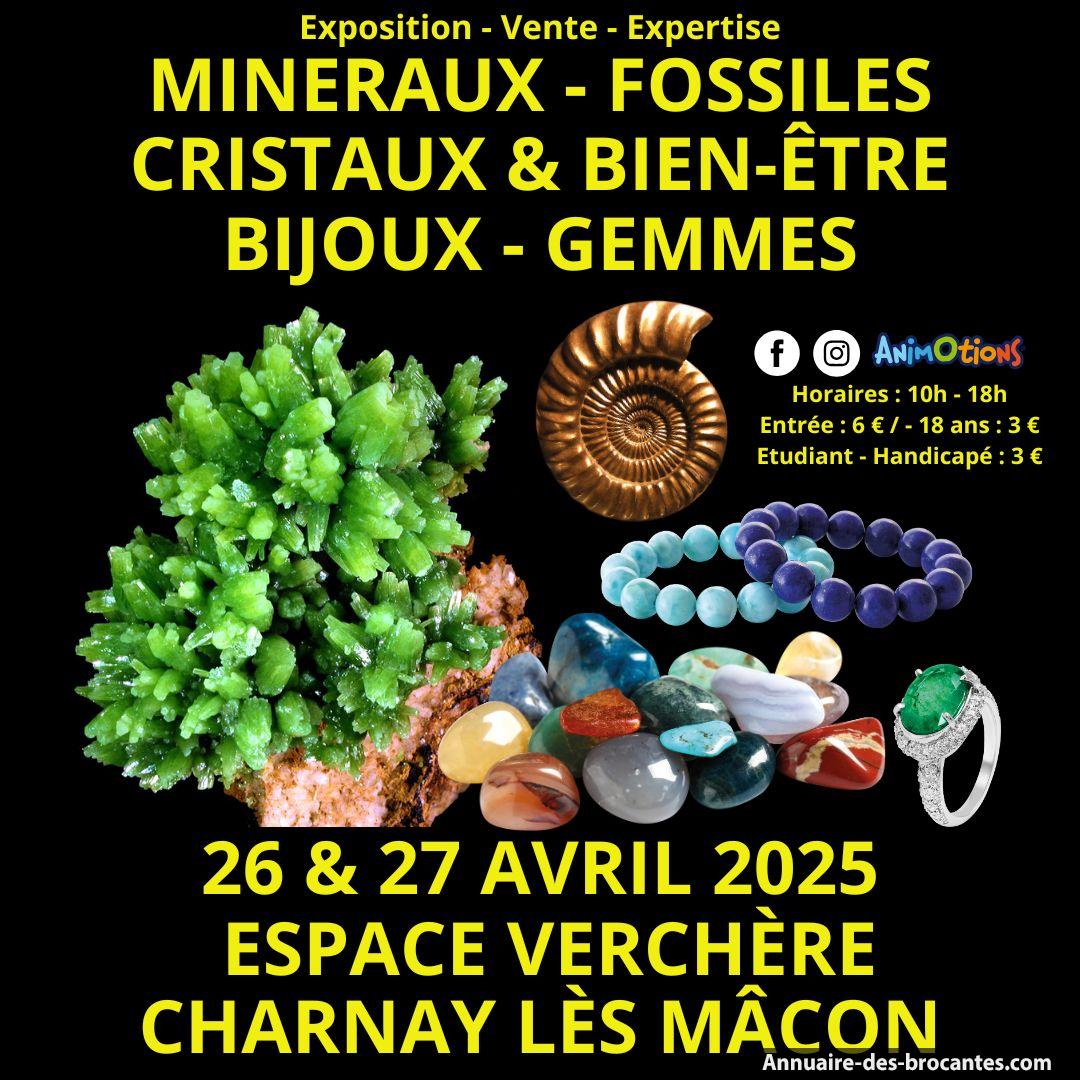 Affiche de Autre à Charnay-lès-Mâcon