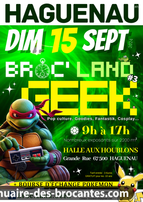 Affiche de Brocante à Haguenau