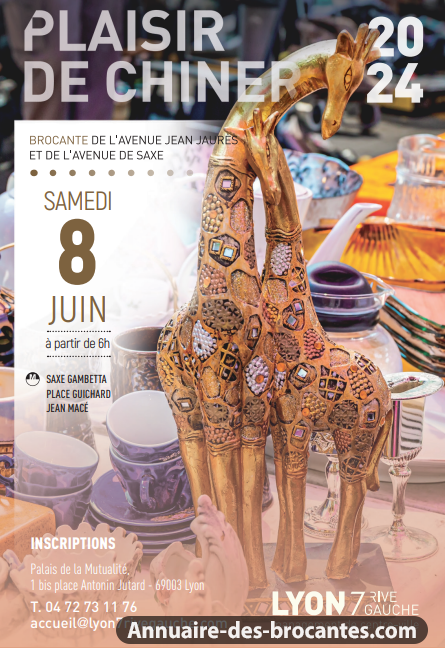 Affiche de Brocante à Lyon