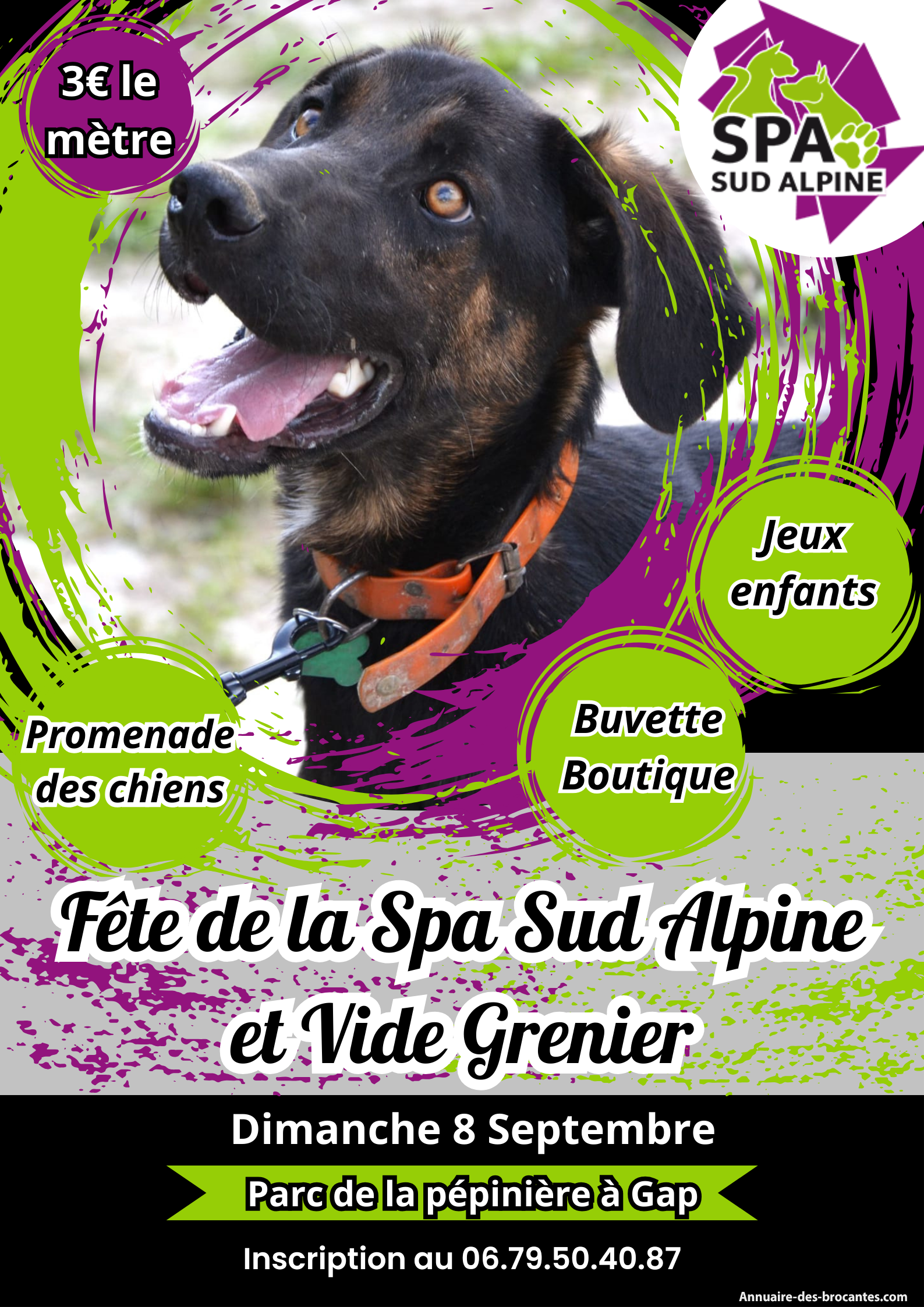 Affiche de Vide-greniers à Gap
